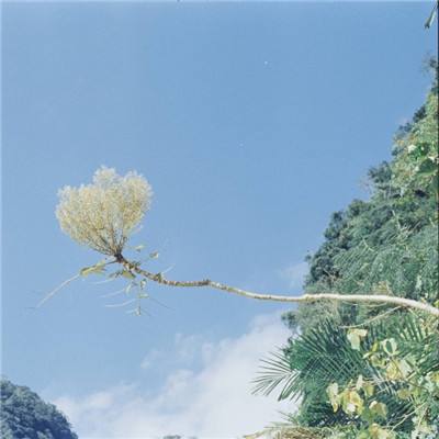 刀剑神域满v版手游下载