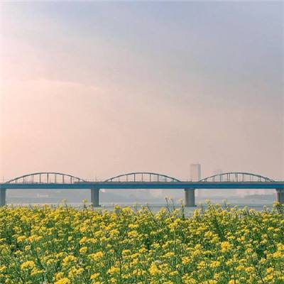 上古王冠九游客户端下载
